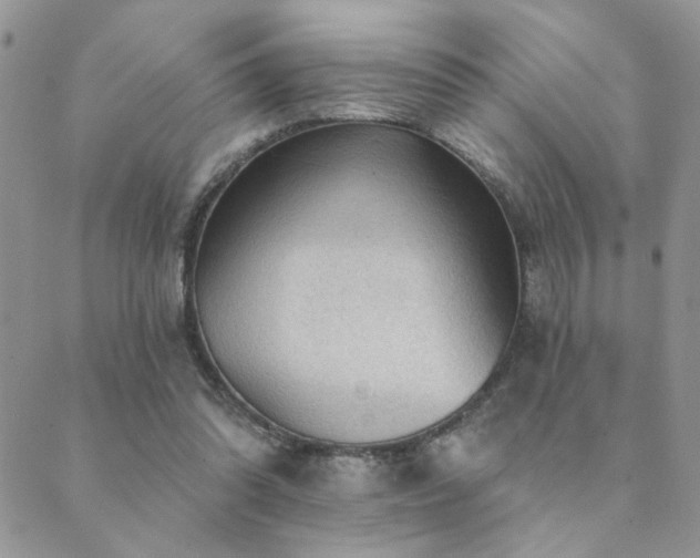 X0000089680302200706211232