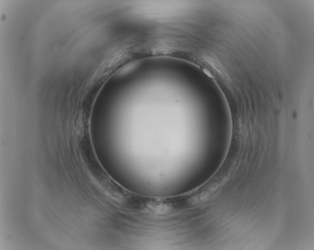 X0000089680311200706211231