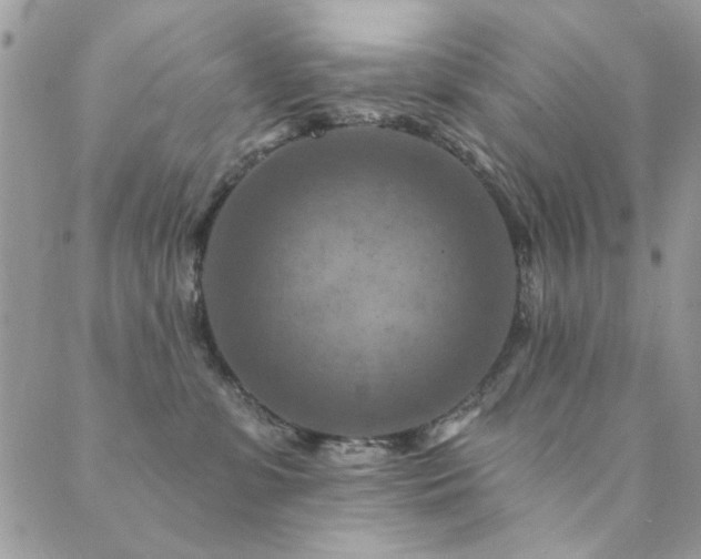 X0000089680331200706211231