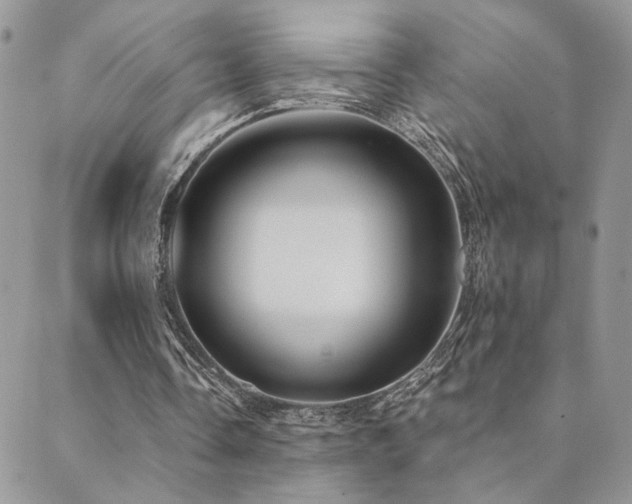 X0000089680338200706211230