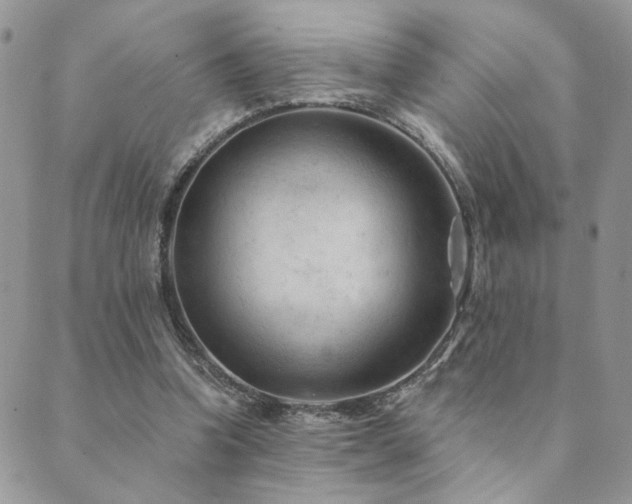 X0000089680346200706211230
