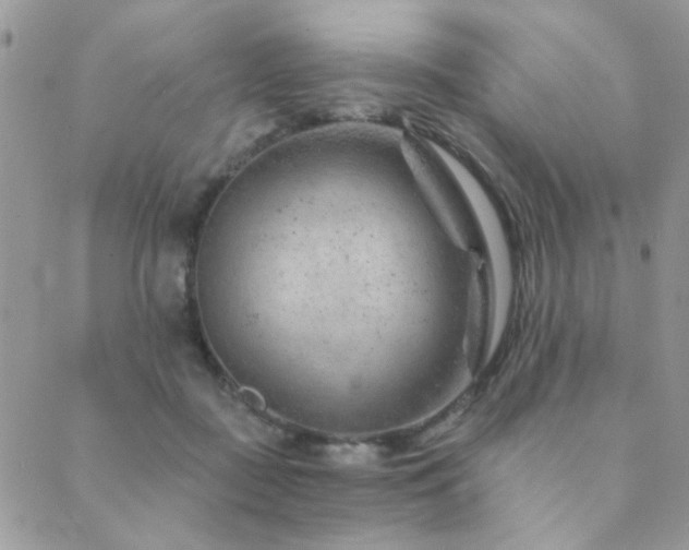 X0000089680363200706211231