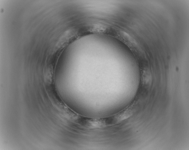 X0000089680370200706211231