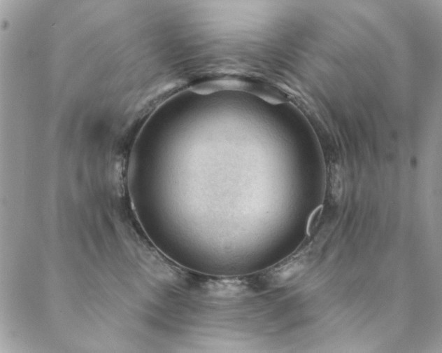 X0000089680378200706211231
