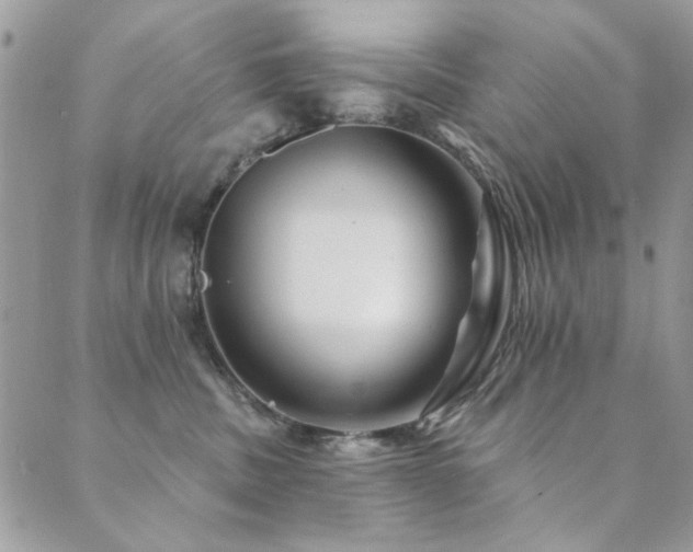 X0000089680379200706211231