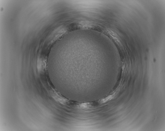 X0000089680382200706211231
