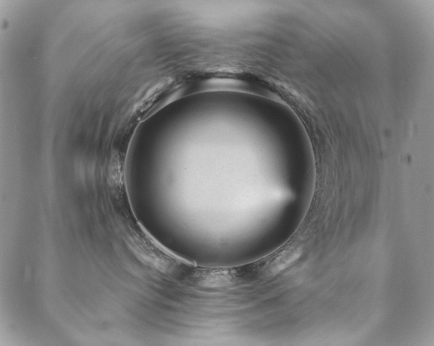 X0000089680384200706211231