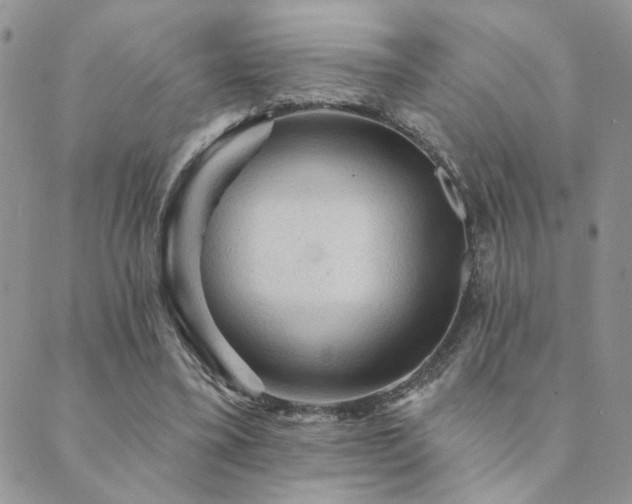 X0000089680395200706211230