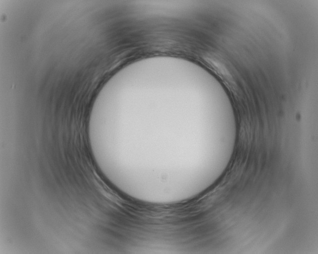 X0000089680409200706211230