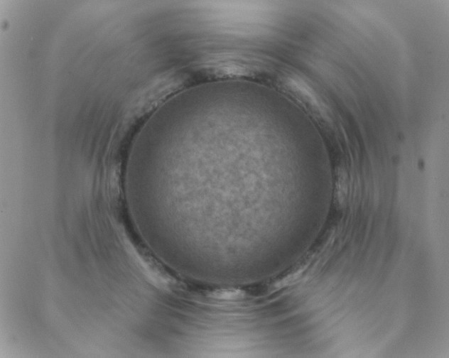 X0000089680410200706211230