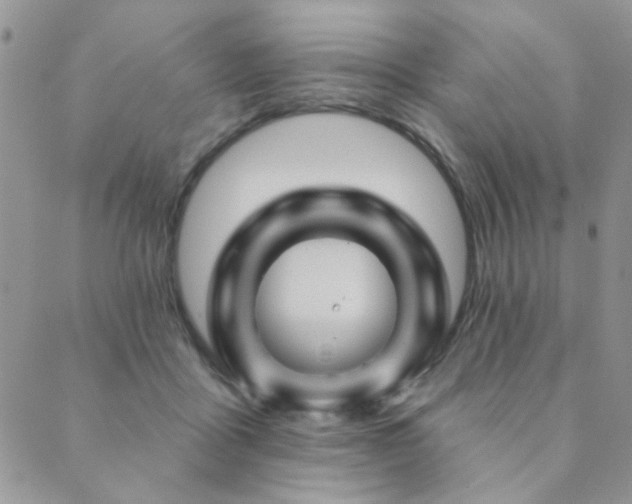 X0000089680411200706211230