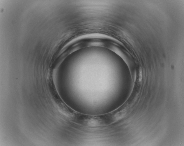 X0000089680412200706211230