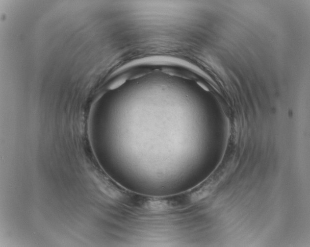 X0000089680413200706211230