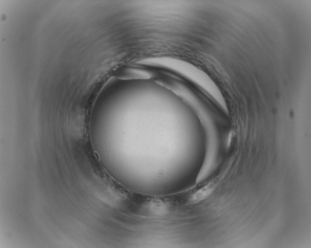 X0000089680416200706211230