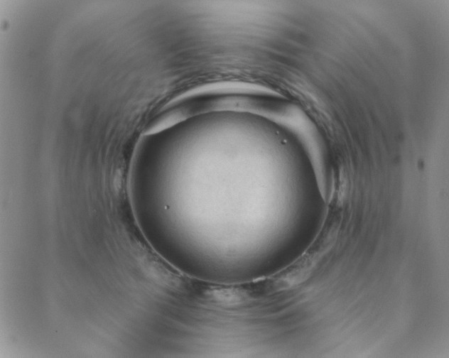 X0000089680417200706211230