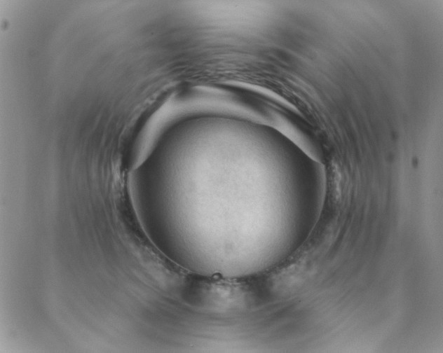 X0000089680420200706211230