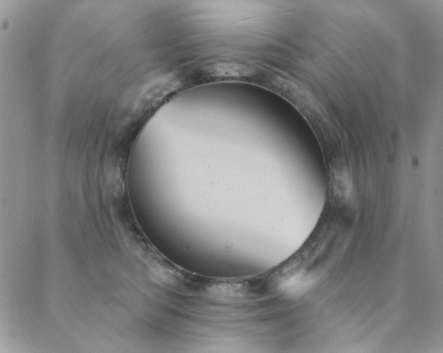 X0000089680422200706211230