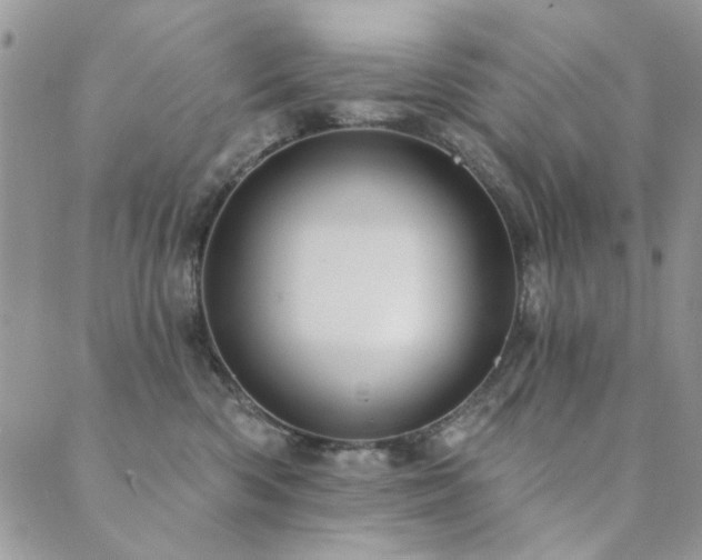 X0000089680426200706211230