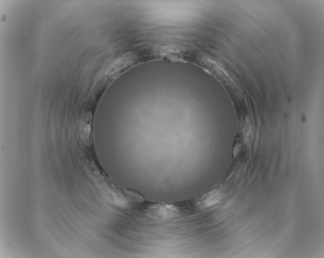 X0000089680427200706211230