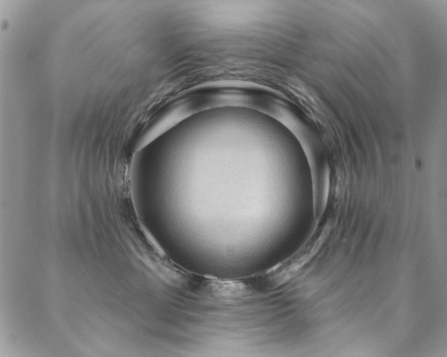 X0000089680429200706211229