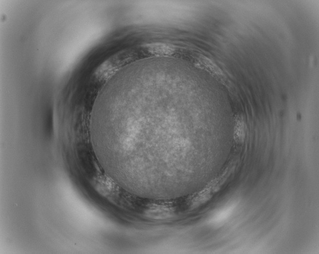 X0000089680431200706211229