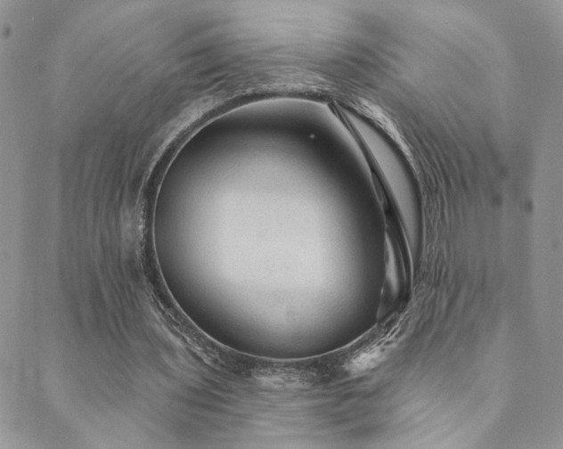 X0000089680435200706211229