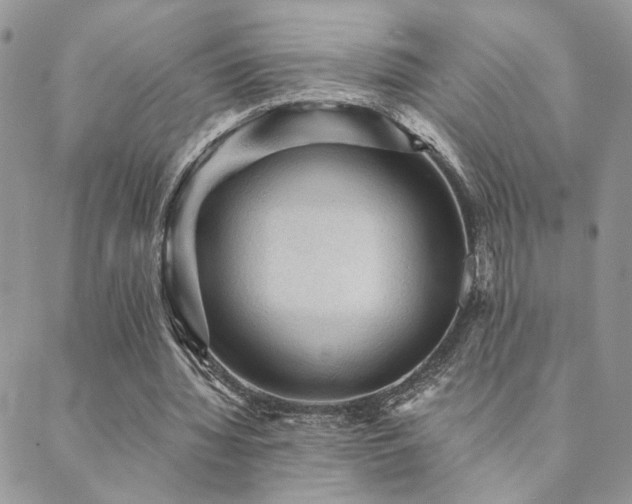 X0000089680436200706211229