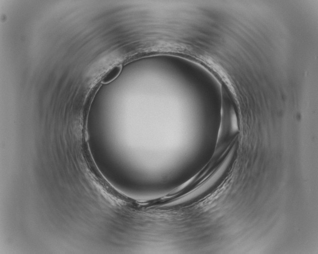X0000089680437200706211229