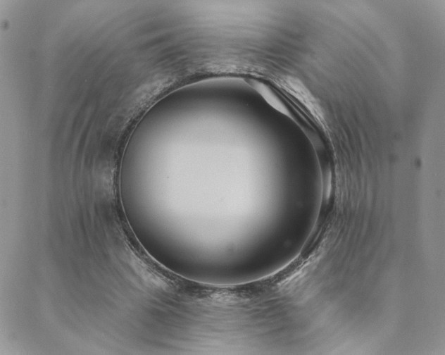 X0000089680441200706211229