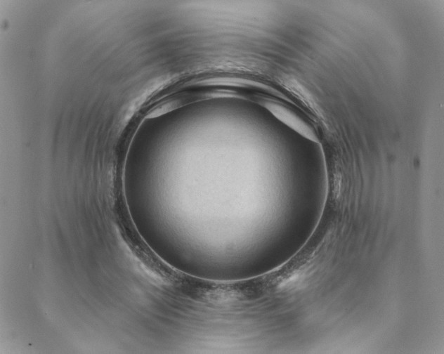 X0000089680444200706211229