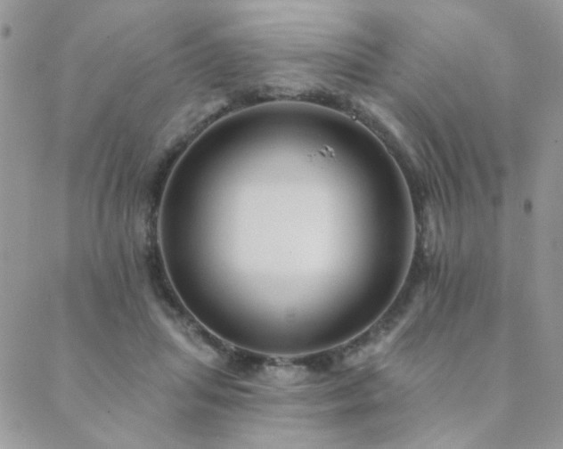 X0000089680455200706211229