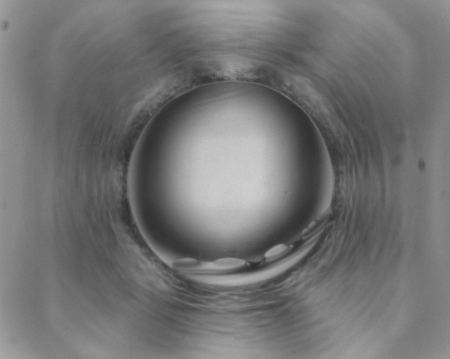 X0000089680461200706211229