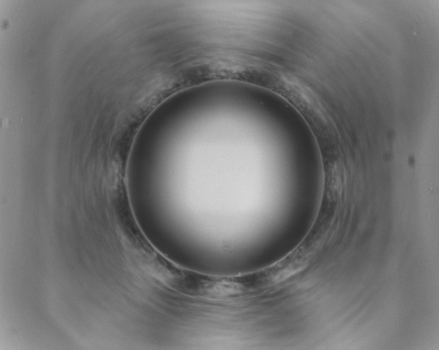 X0000089680463200706211229