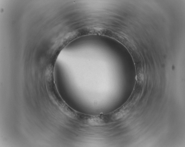 X0000089680468200706211229