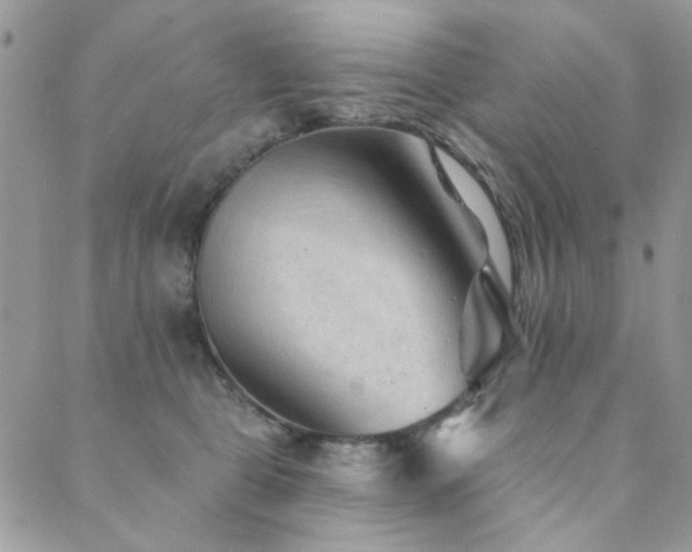 X0000089680469200706211229