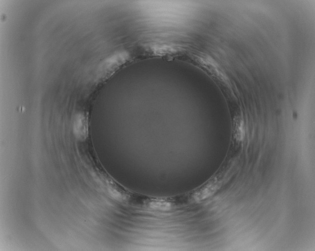 X0000089680471200706211229