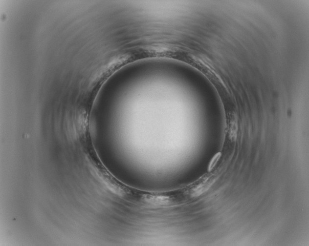 X0000089680476200706211229