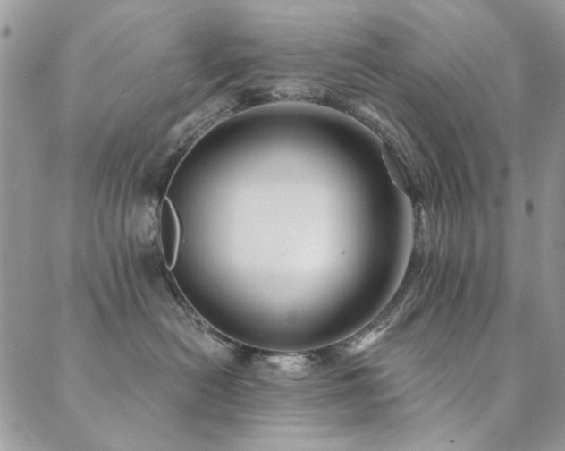 X0000089680478200706211229
