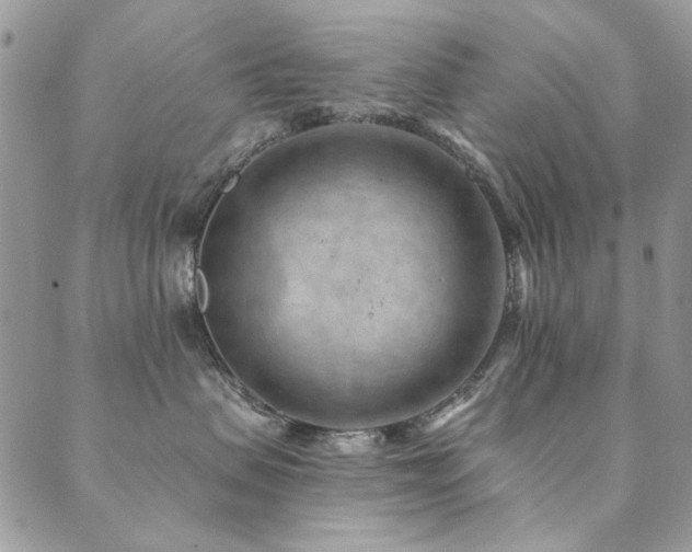 X0000089680479200706211229