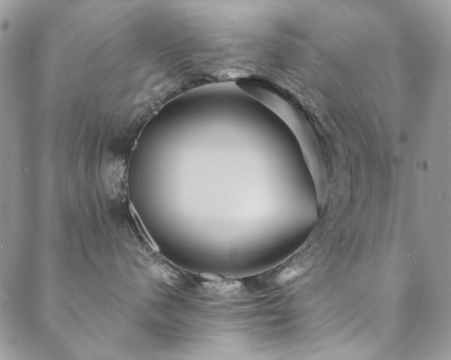 X0000089680480200706211229