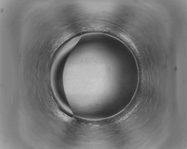 X0000089680481200706211229