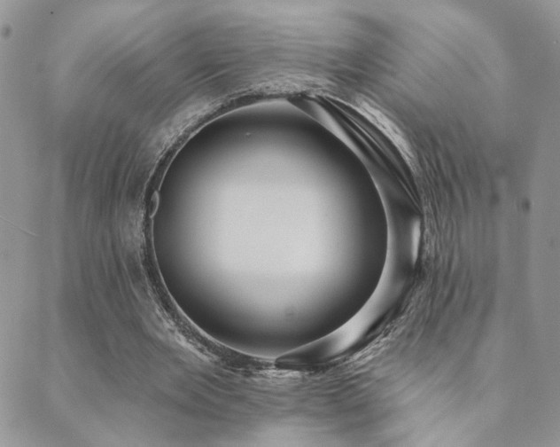 X0000089680485200706211229