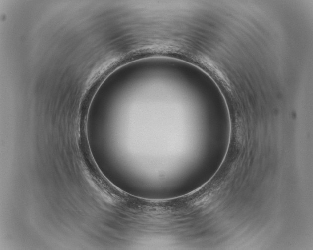 X0000089680486200706211229