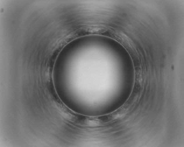 X0000089680510200706211228