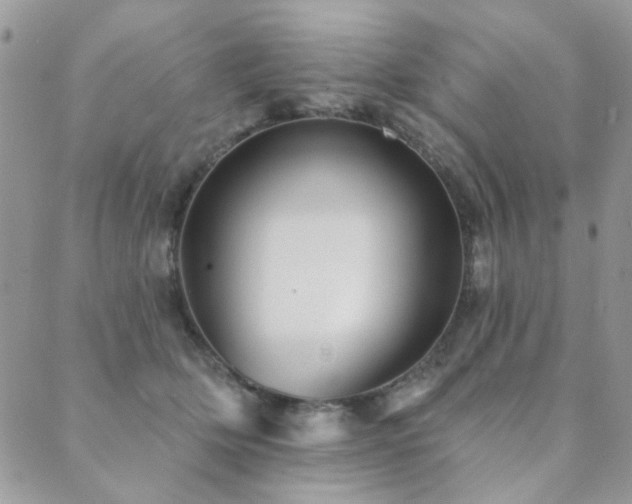 X0000089680514200706211228