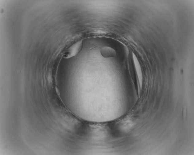 X0000089680516200706211228