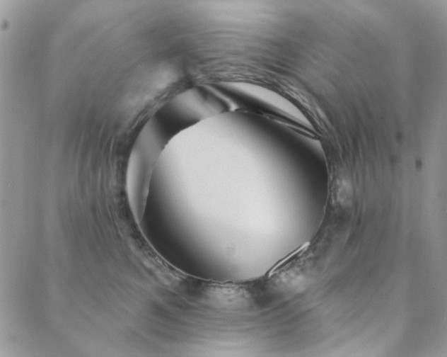 X0000089680521200706211228