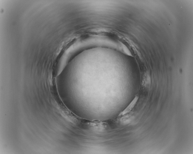X0000089680524200706211228