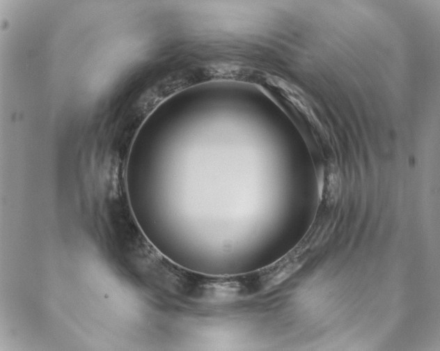 X0000089680525200706211228