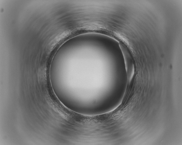 X0000089680535200706211227